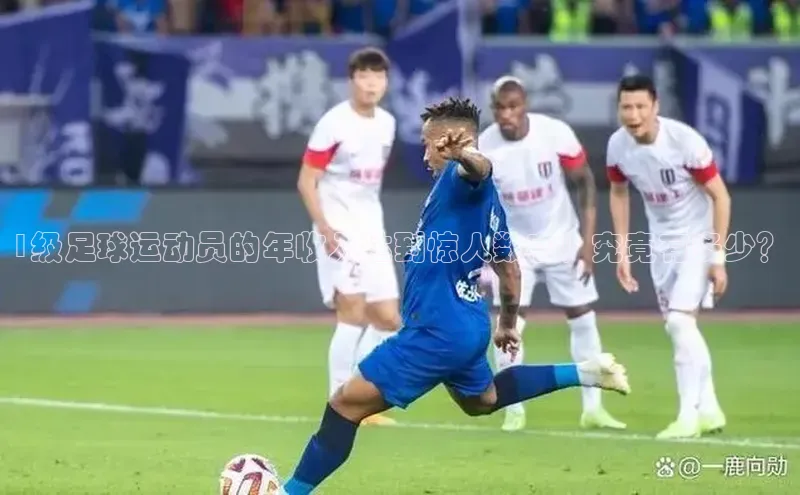 爱游戏平台宇信科技1级足球运动员的年收入达到惊人数字！究竟有多少？