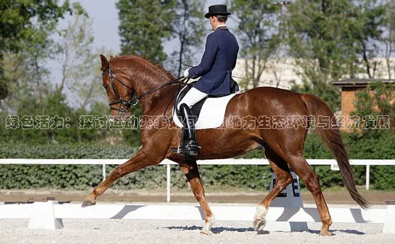 爱游戏app最新官网登录百度搜索资源平台绿色活力：探讨运动赛事如何推动地方生态环境与经济发展