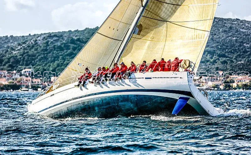 活力长跑：为老年人打造的年度运动盛宴