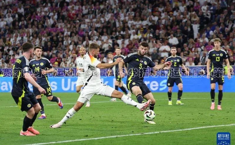 赛前热身与运动后恢复：科学指导的运动康复策略