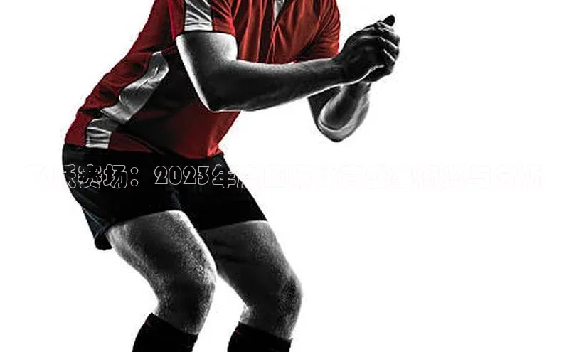 飞跃赛场：2023年度国际体育盛事概览与分析