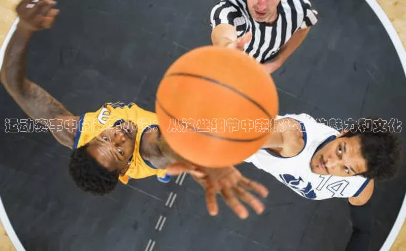 爱游戏app官网登录入口安装方法